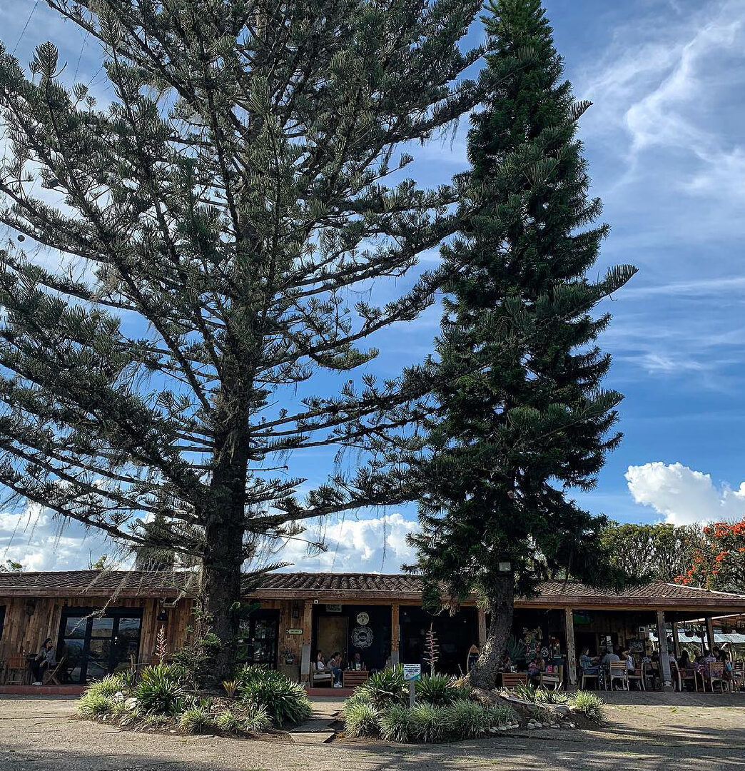 Restaurante La Villa Llano Grande
